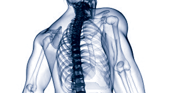 inflamación y estrés